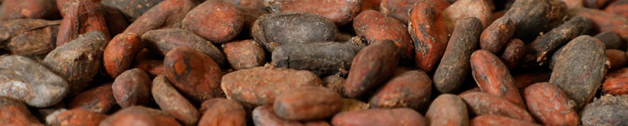 Chocolaterie van Heijningen